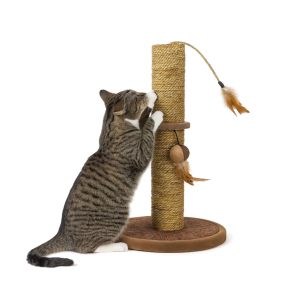 Nobleza Krabpaal met speeltjes – Bruin – 44 cm – 12.79 EUR – SKU NB040513