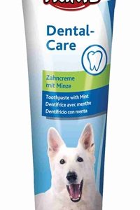 TRIXIE TANDPASTA MET MUNT 100 GR