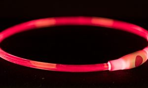 TRIXIE LICHTGEVENDE HALSBAND USB FLASH LIGHT OPLAADBAAR TPU ROOD 40X0,8 CM