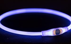 TRIXIE LICHTGEVENDE HALSBAND USB FLASH LIGHT OPLAADBAAR TPU BLAUW 40X0,8 CM