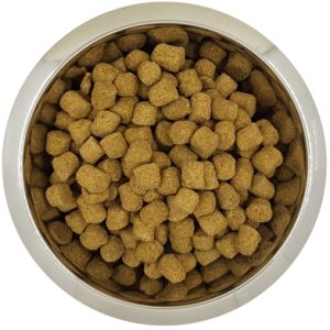 YOURDOG KONINGSPOEDEL SENIOR 12 KG