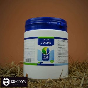 PUUR L-Lysine 500g met vitamine B6