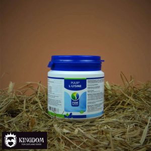 PUUR L-Lysine 50g met vitamine B6