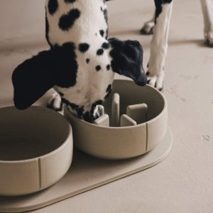 Pino Bowl Large ∅21cm in Classic & Slow Feeder