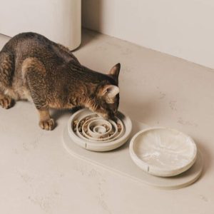 Pino snorhaarvriendelijke voerbak in Classic & Slow Feeder