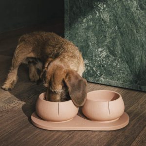 Pino Long Ears Bowl – comfort voor honden met lange oren