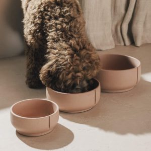 Pino Bowl Medium ∅17,5cm in Classic & Slow Feeder