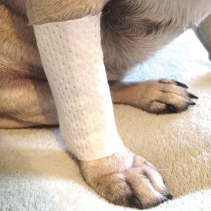 PawFlex® Beschermhoes voor Dierverband