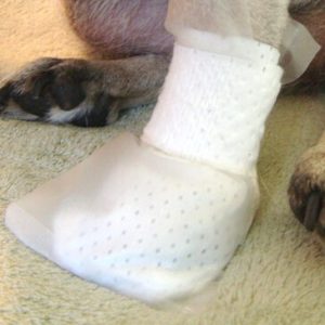 PawFlex® Regenhoes voor pootverband