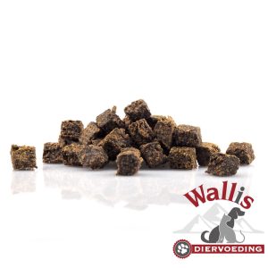 Snack Paard Mini Trainer