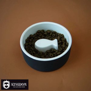 PAIKKA Cool Slow Feed Bowl S (Ø13cm) Black