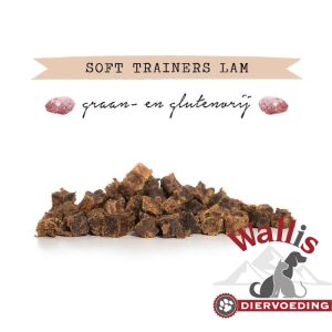 Snack Softtrainer Lam